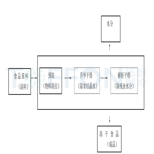 冷凍干燥機|凍干機|真空冷凍干燥機|大型冷凍干燥機|食品凍干機|制藥真空冷凍干燥機|食品凍干設備|制藥冷凍干燥機 冷凍干燥機|凍干機|真空冷凍干燥機|大型冷凍干燥機|食品凍干機|制藥真空冷凍干燥機|食品凍干設備|制藥冷凍干燥機