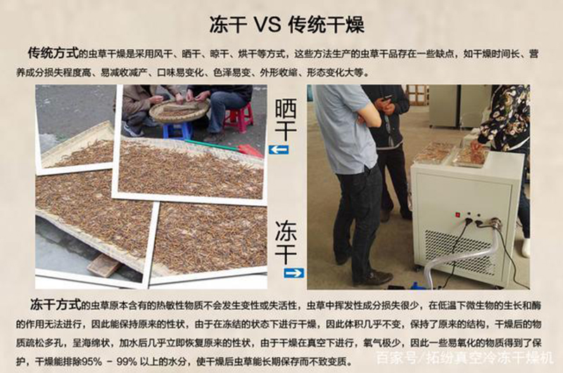 冷凍干燥機|凍干機|真空冷凍干燥機|大型冷凍干燥機|食品凍干機|制藥真空冷凍干燥機|食品凍干設備|制藥冷凍干燥機