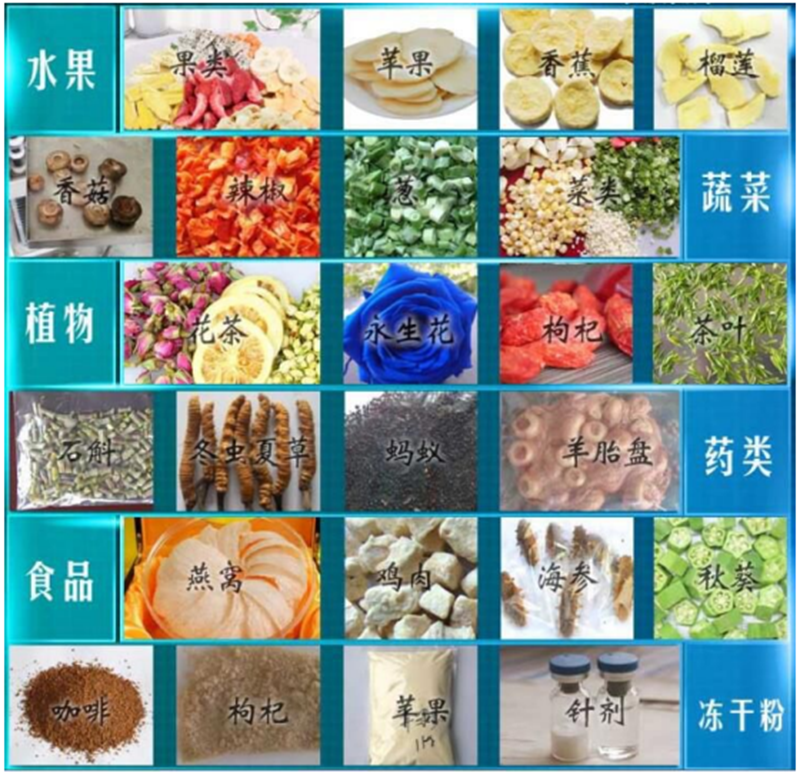 冷凍干燥機 冷凍干燥機