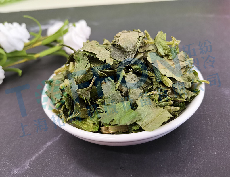 冷凍干燥機|凍干機|真空冷凍干燥機|大型冷凍干燥機|食品凍干機|制藥真空冷凍干燥機|食品凍干設備|制藥冷凍干燥機