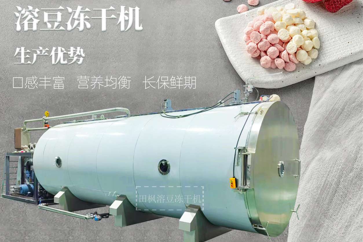 冷凍干燥機|凍干機|真空冷凍干燥機|大型冷凍干燥機|食品凍干機|制藥真空冷凍干燥機|食品凍干設備|制藥冷凍干燥機
