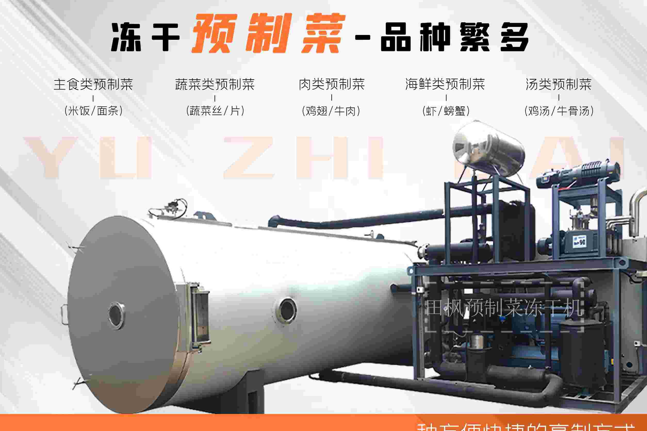 冷凍干燥機|凍干機|真空冷凍干燥機|大型冷凍干燥機|食品凍干機|制藥真空冷凍干燥機|食品凍干設備|制藥冷凍干燥機