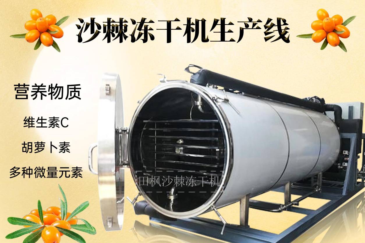 冷凍干燥機|凍干機|真空冷凍干燥機|大型冷凍干燥機|食品凍干機|制藥真空冷凍干燥機|食品凍干設備|制藥冷凍干燥機