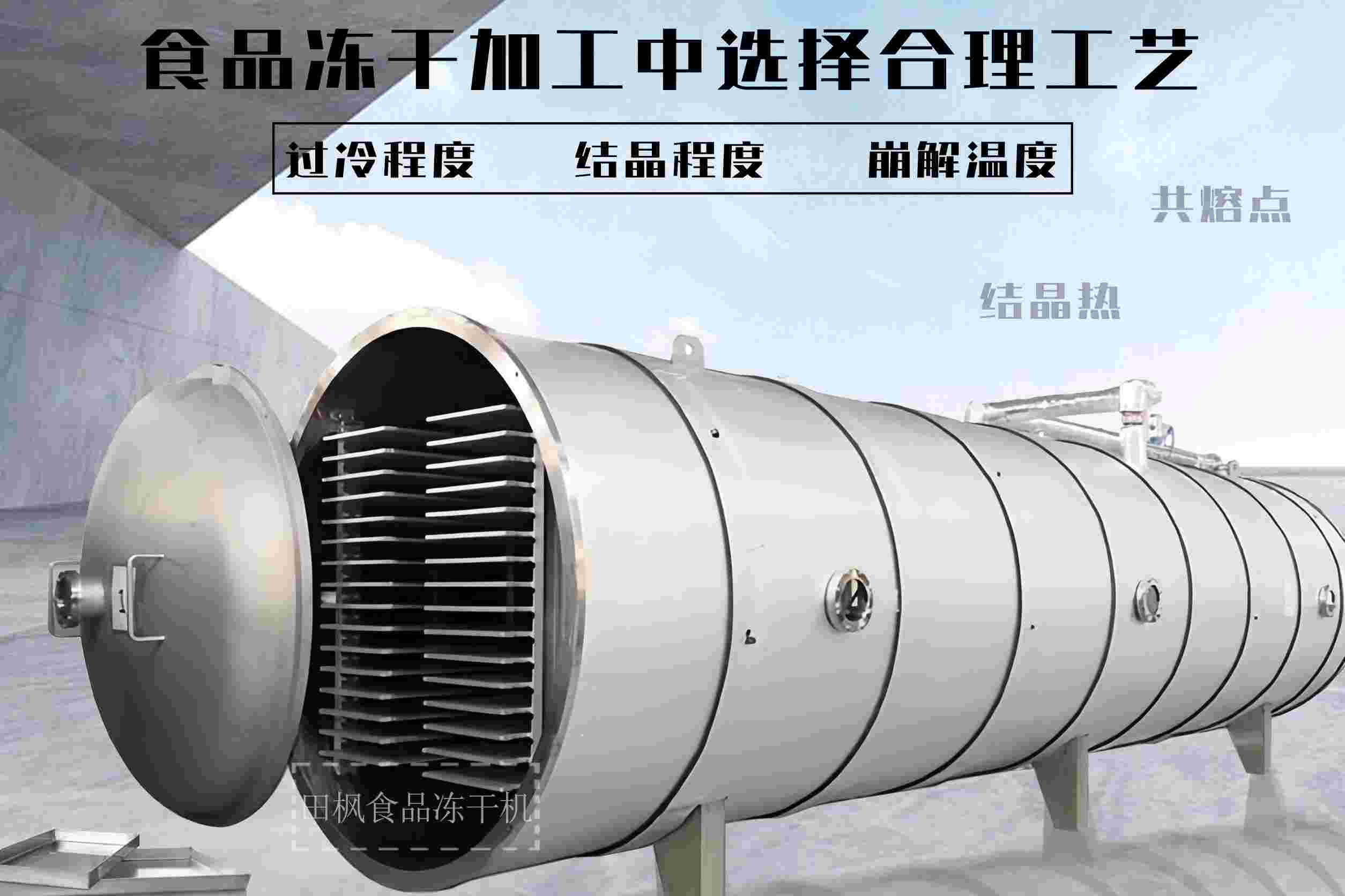 冷凍干燥機|凍干機|真空冷凍干燥機|大型冷凍干燥機|食品凍干機|制藥真空冷凍干燥機|食品凍干設備|制藥冷凍干燥機
