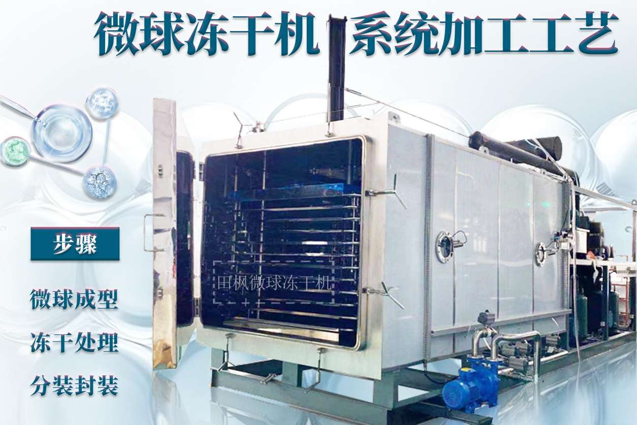 冷凍干燥機|凍干機|真空冷凍干燥機|大型冷凍干燥機|食品凍干機|制藥真空冷凍干燥機|食品凍干設(shè)備|制藥冷凍干燥機