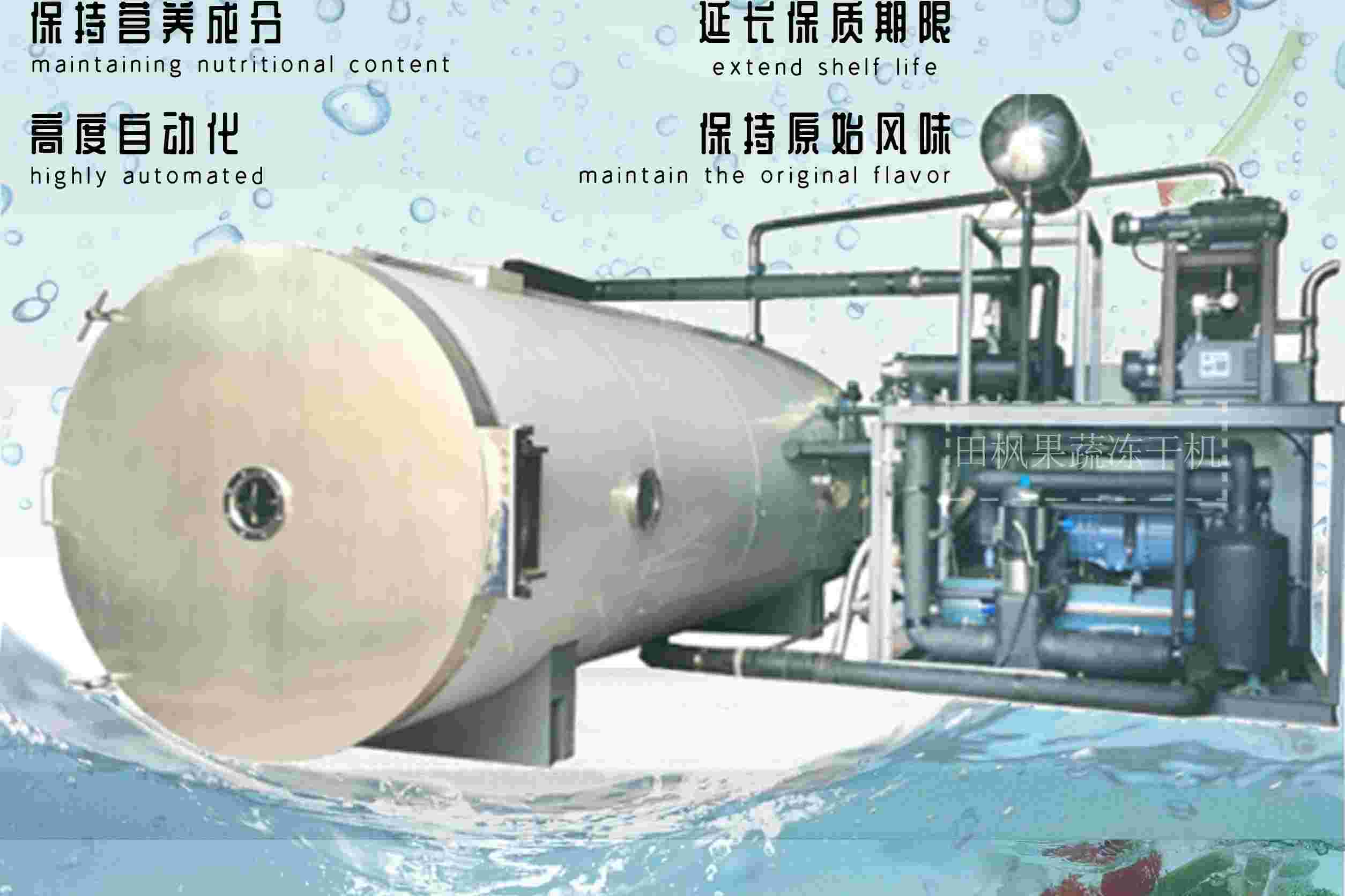 1719032786347037.jpg 冷凍干燥機