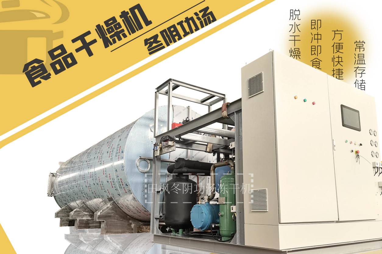 冷凍干燥機|凍干機|真空冷凍干燥機|大型冷凍干燥機|食品凍干機|制藥真空冷凍干燥機|食品凍干設備|制藥冷凍干燥機