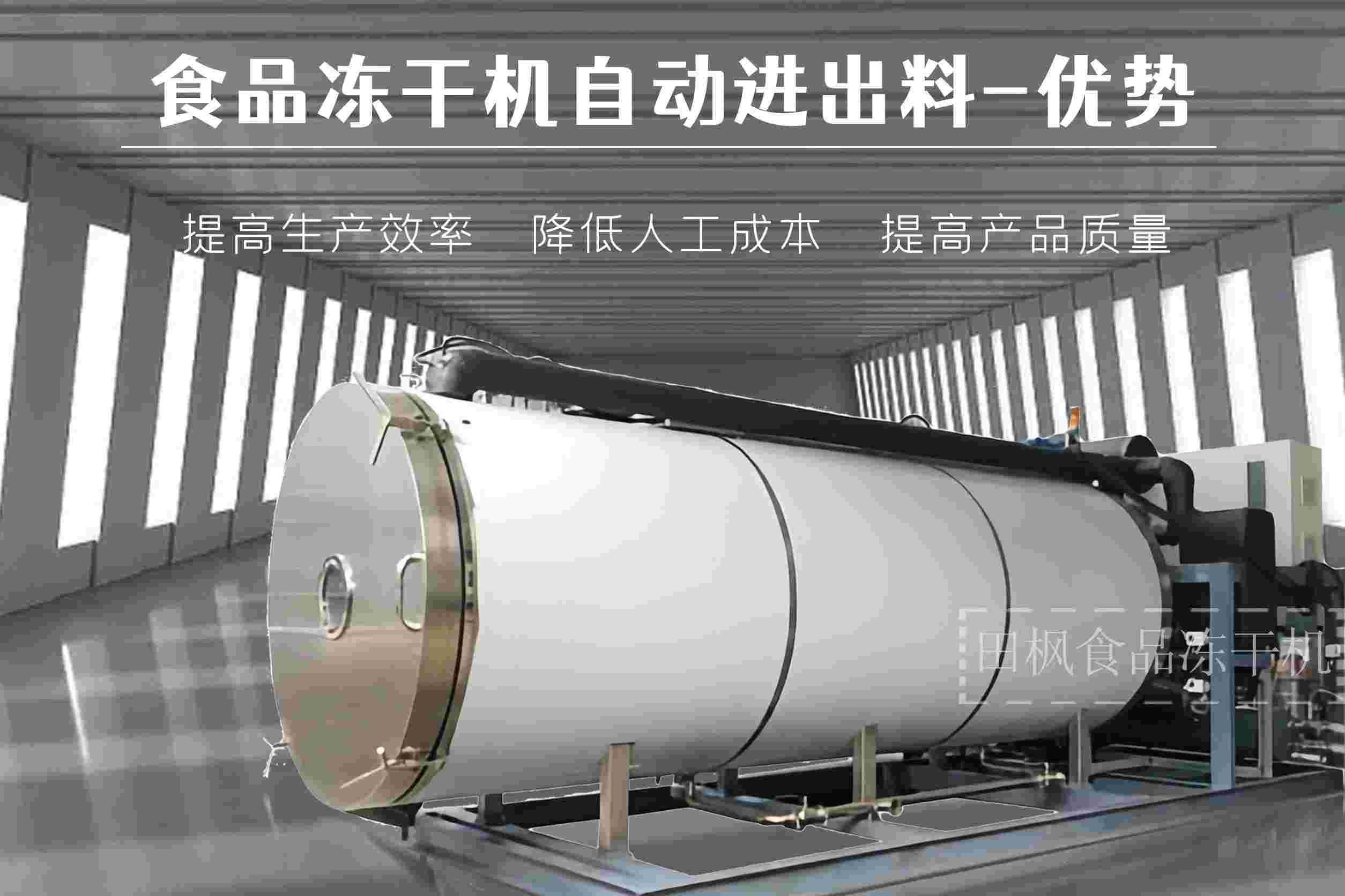冷凍干燥機|凍干機|真空冷凍干燥機|大型冷凍干燥機|食品凍干機|制藥真空冷凍干燥機|食品凍干設備|制藥冷凍干燥機