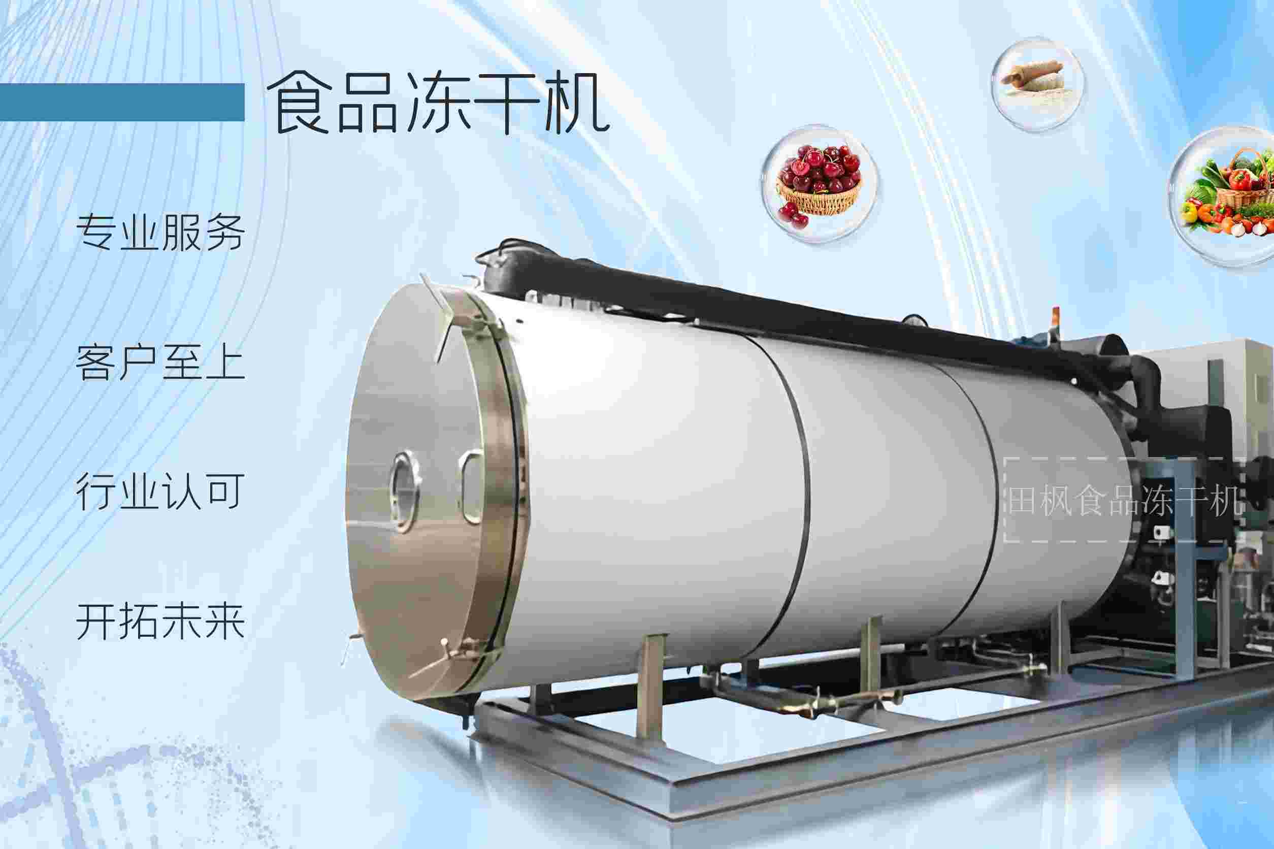 冷凍干燥機|凍干機|真空冷凍干燥機|大型冷凍干燥機|食品凍干機|制藥真空冷凍干燥機|食品凍干設備|制藥冷凍干燥機