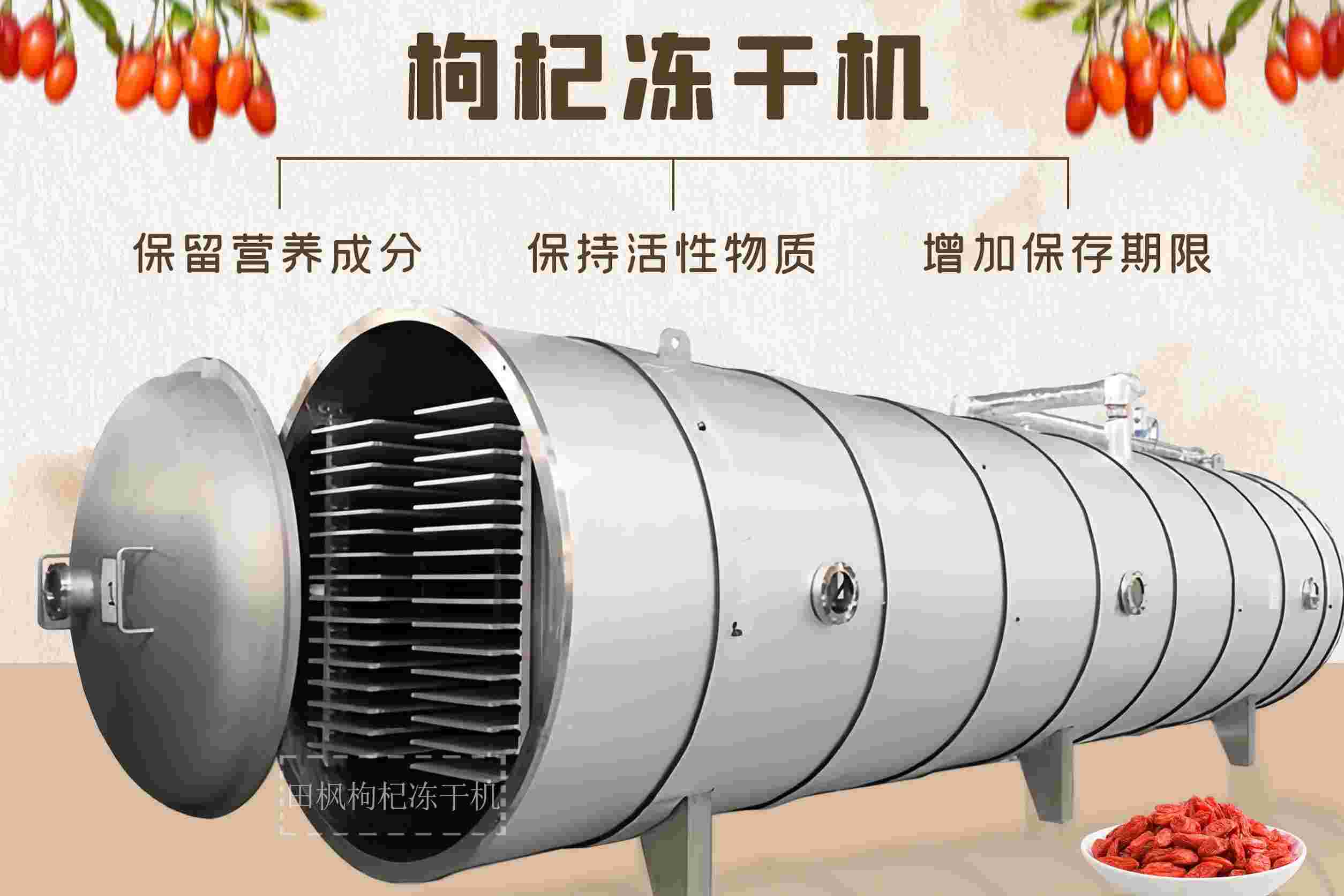 冷凍干燥機|凍干機|真空冷凍干燥機|大型冷凍干燥機|食品凍干機|制藥真空冷凍干燥機|食品凍干設備|制藥冷凍干燥機