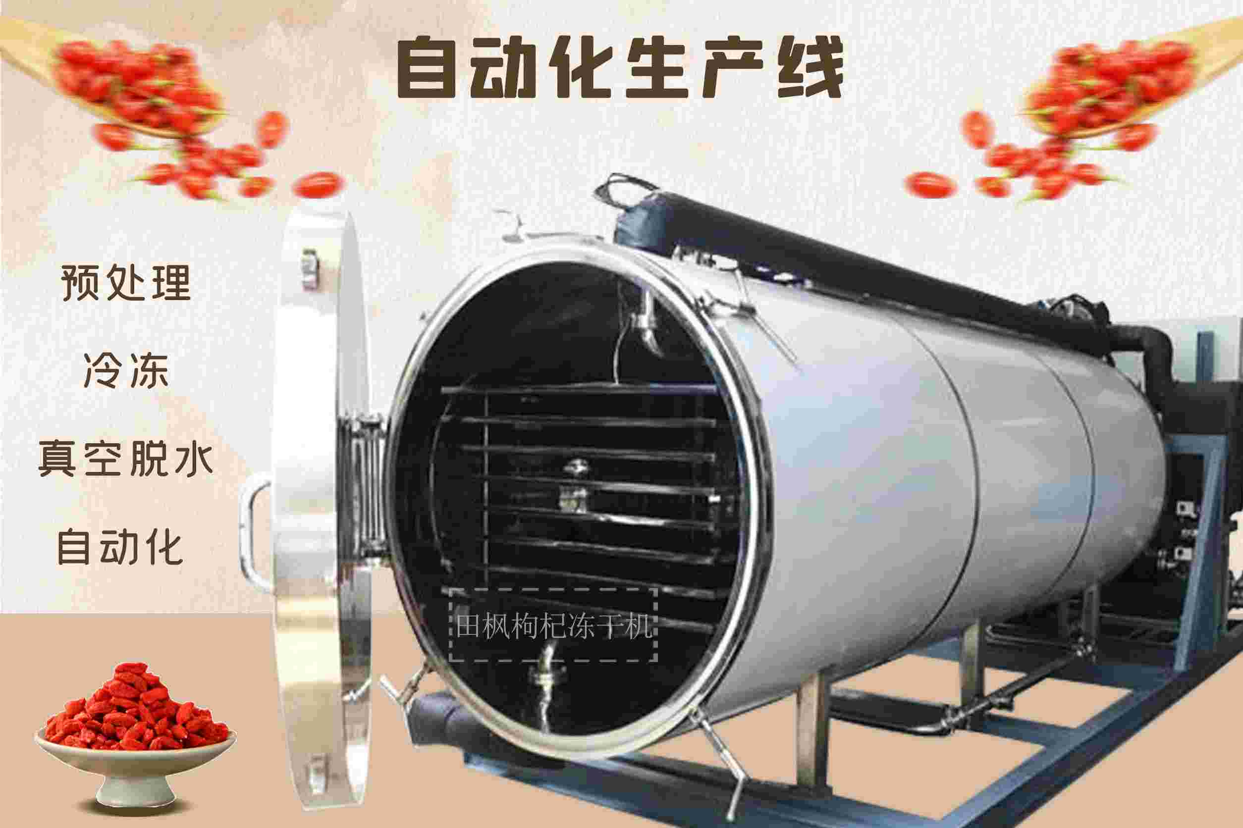 冷凍干燥機|凍干機|真空冷凍干燥機|大型冷凍干燥機|食品凍干機|制藥真空冷凍干燥機|食品凍干設備|制藥冷凍干燥機
