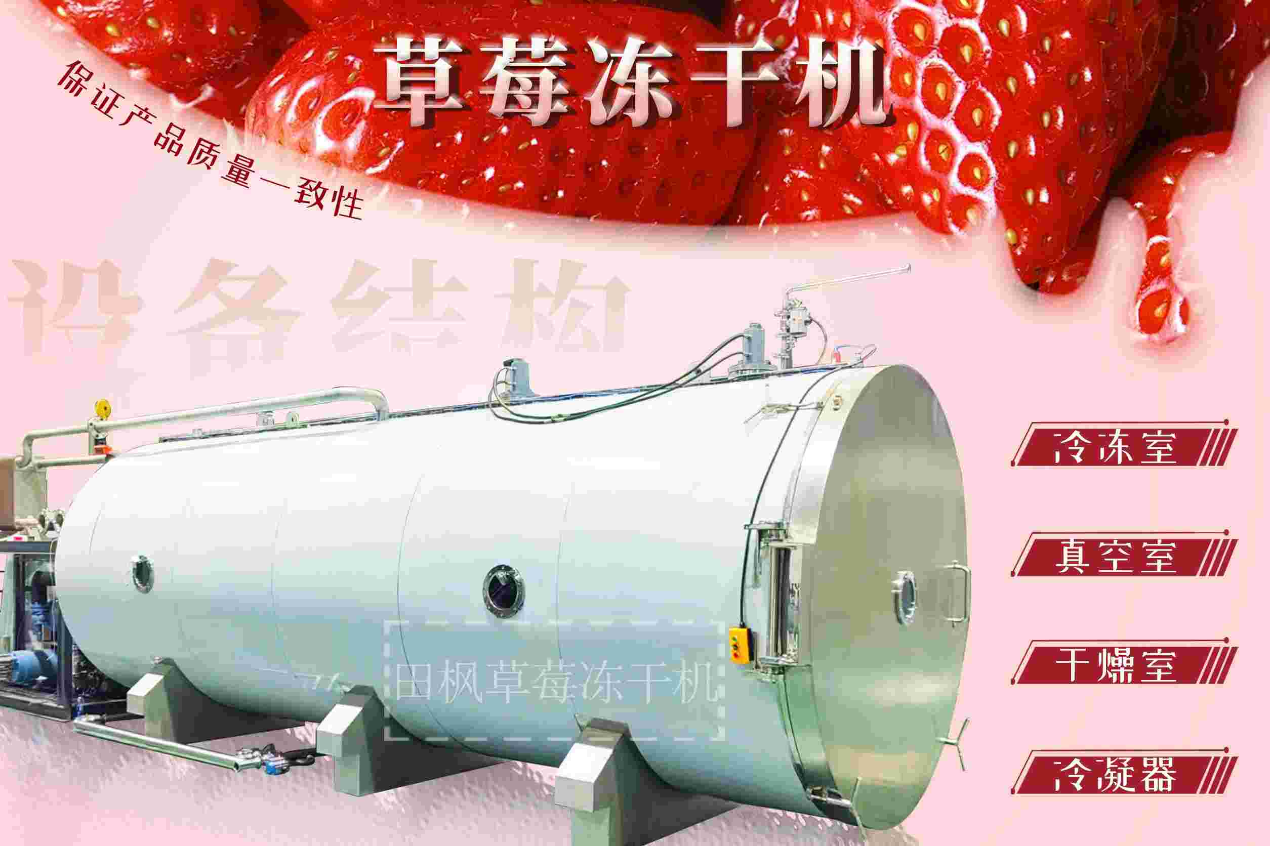 冷凍干燥機|凍干機|真空冷凍干燥機|大型冷凍干燥機|食品凍干機|制藥真空冷凍干燥機|食品凍干設備|制藥冷凍干燥機