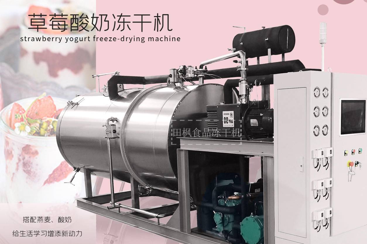冷凍干燥機|凍干機|真空冷凍干燥機|大型冷凍干燥機|食品凍干機|制藥真空冷凍干燥機|食品凍干設備|制藥冷凍干燥機
