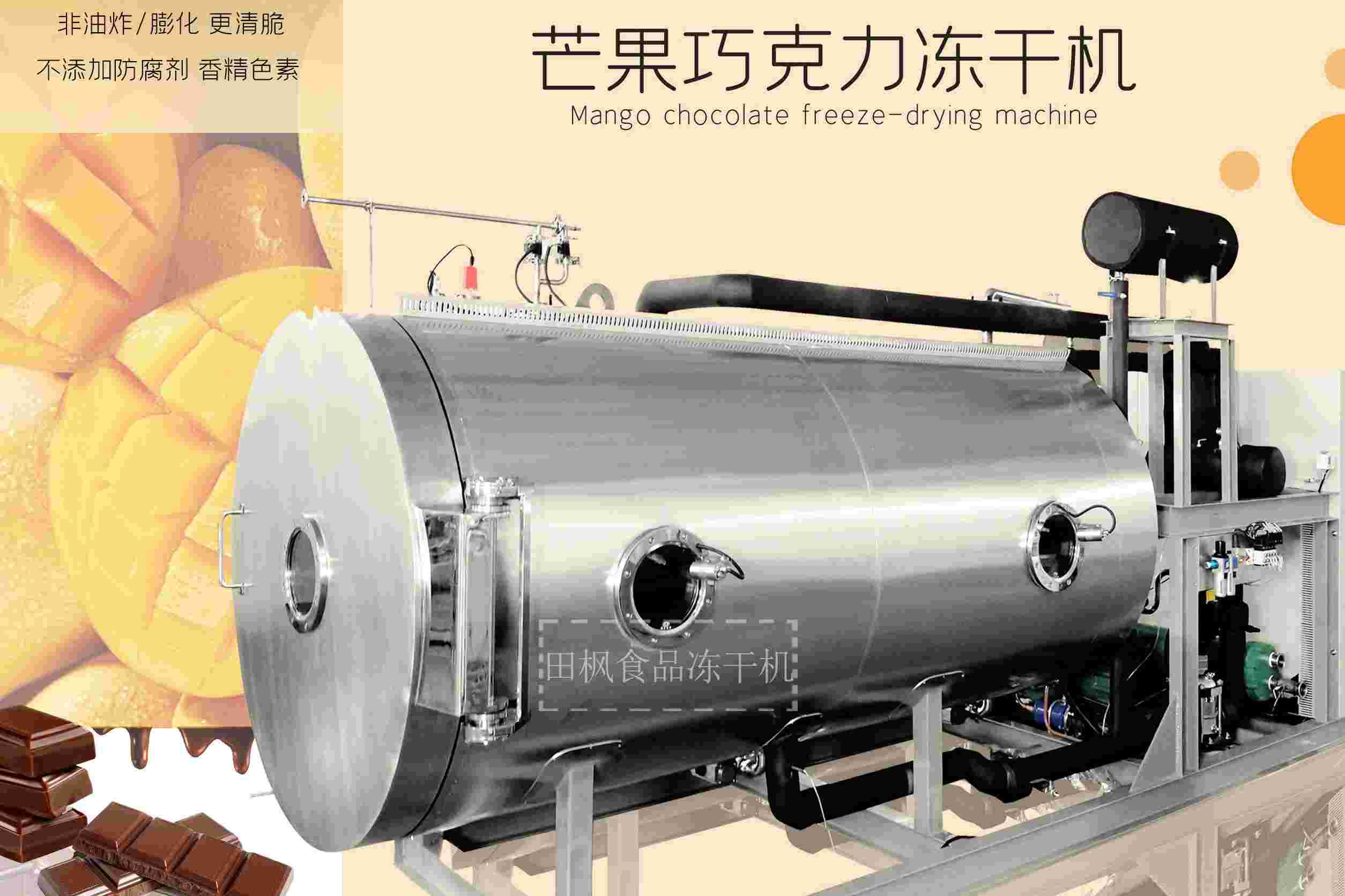 冷凍干燥機|凍干機|真空冷凍干燥機|大型冷凍干燥機|食品凍干機|制藥真空冷凍干燥機|食品凍干設(shè)備|制藥冷凍干燥機