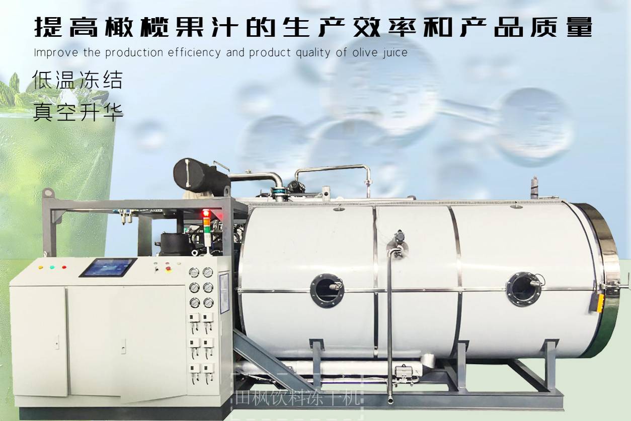 冷凍干燥機|凍干機|真空冷凍干燥機|大型冷凍干燥機|食品凍干機|制藥真空冷凍干燥機|食品凍干設(shè)備|制藥冷凍干燥機