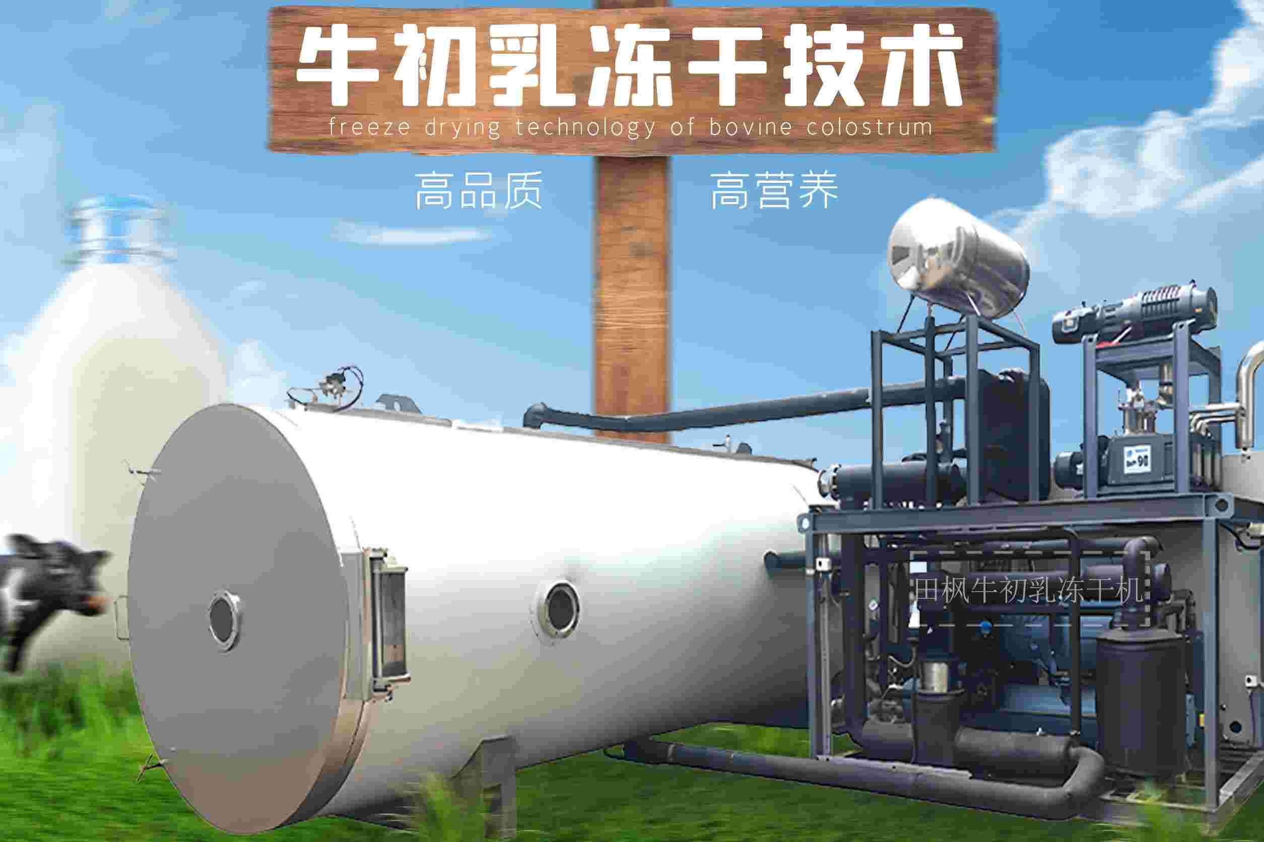 冷凍干燥機|凍干機|真空冷凍干燥機|大型冷凍干燥機|食品凍干機|制藥真空冷凍干燥機|食品凍干設備|制藥冷凍干燥機