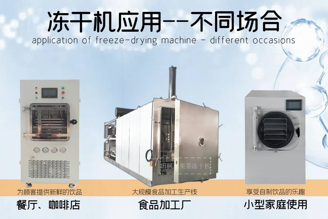 冷凍干燥機|凍干機|真空冷凍干燥機|大型冷凍干燥機|食品凍干機|制藥真空冷凍干燥機|食品凍干設備|制藥冷凍干燥機