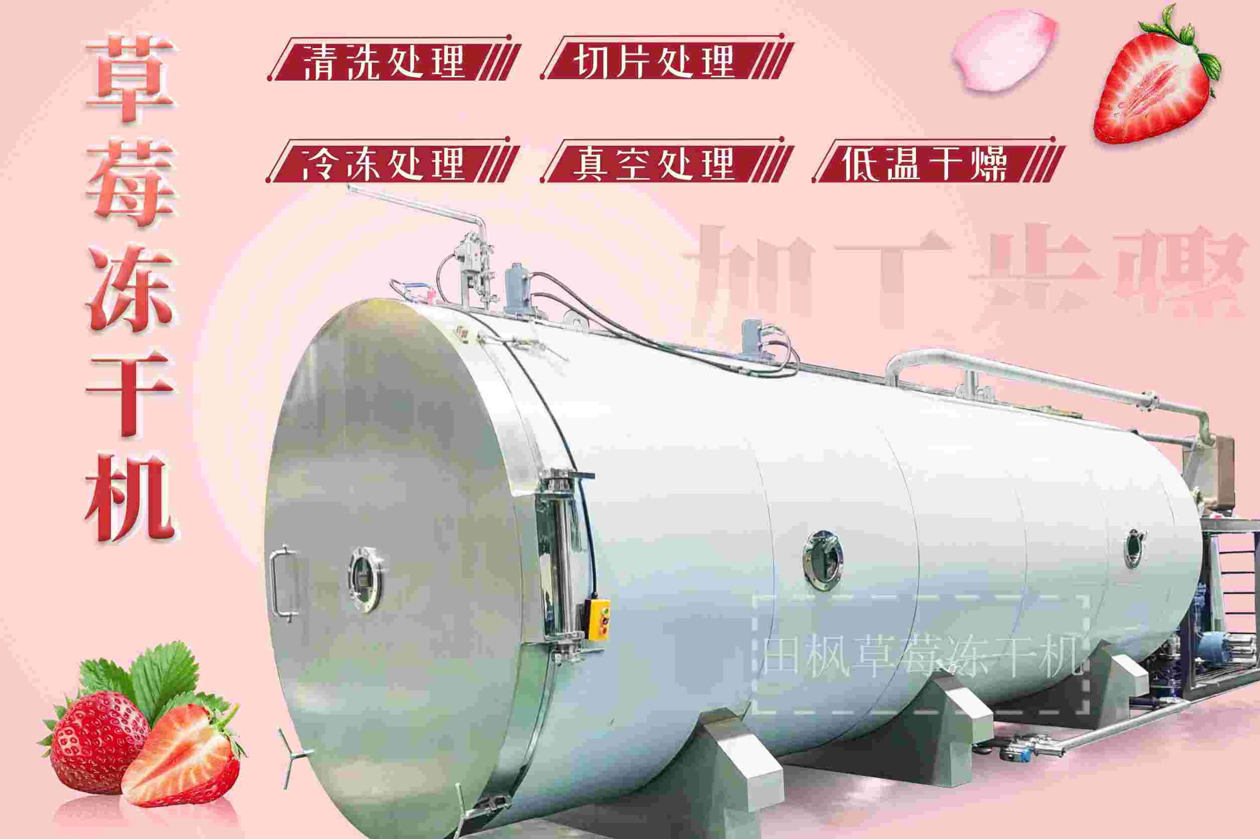 冷凍干燥機|凍干機|真空冷凍干燥機|大型冷凍干燥機|食品凍干機|制藥真空冷凍干燥機|食品凍干設備|制藥冷凍干燥機