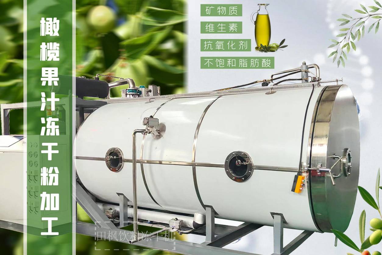 冷凍干燥機|凍干機|真空冷凍干燥機|大型冷凍干燥機|食品凍干機|制藥真空冷凍干燥機|食品凍干設備|制藥冷凍干燥機