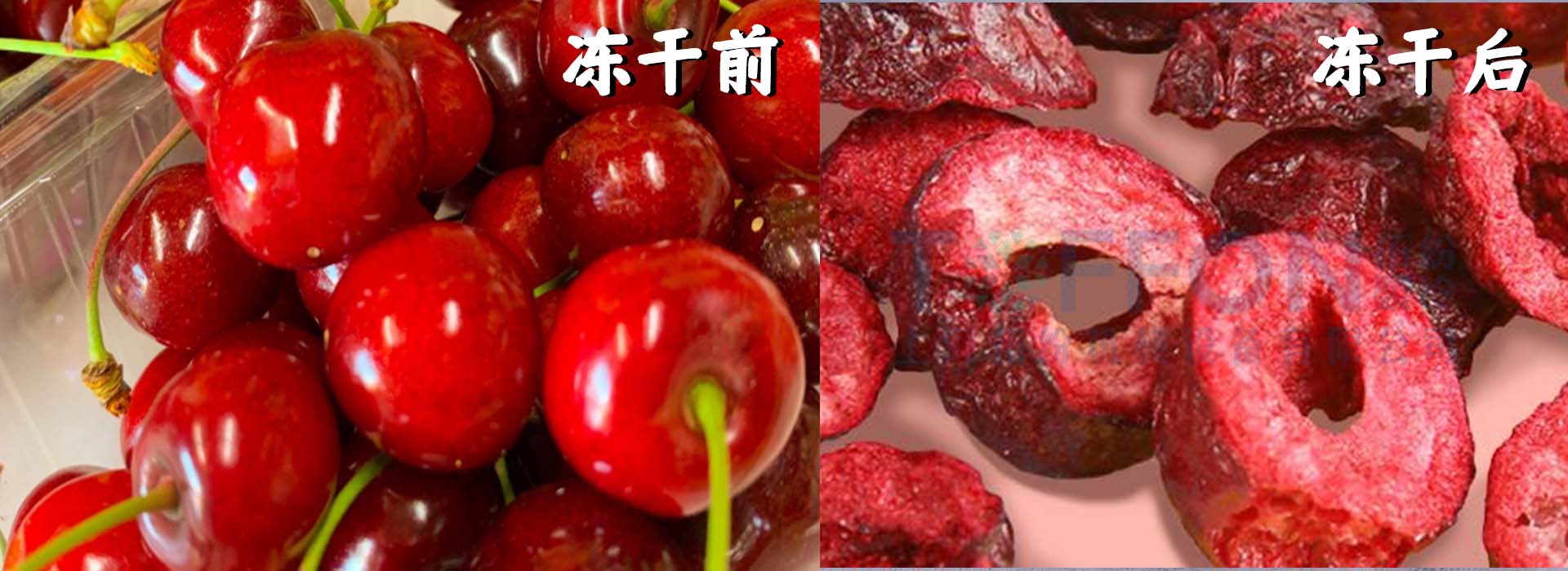 冷凍干燥機