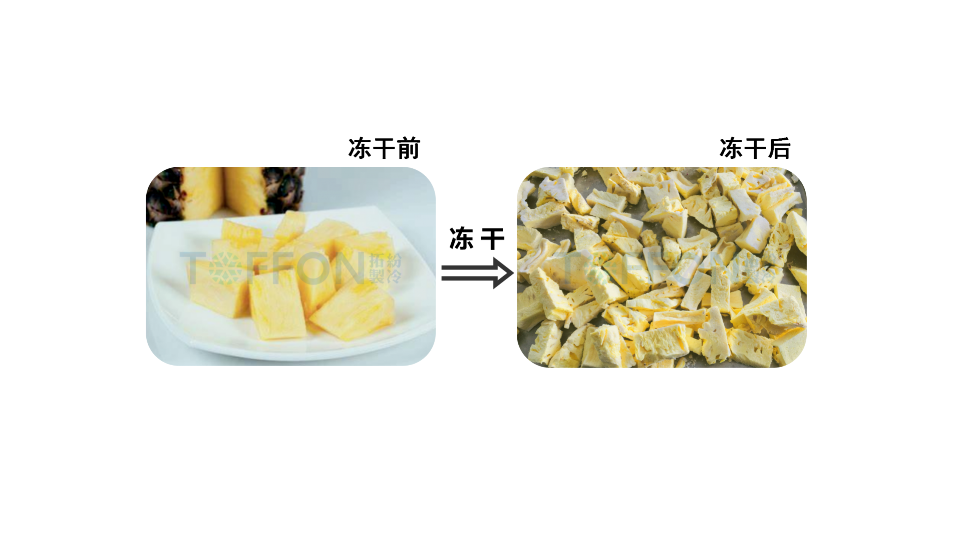 冷凍干燥機