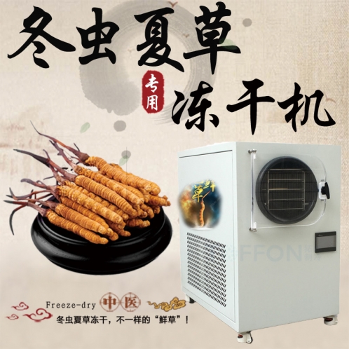 蟲草凍干機-蟲草冷凍干燥機-食品凍干機-蟲草冷凍式干燥機-上海拓紛制冷凍干機設備廠