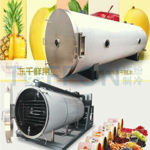 食品凍干機技術應用，FZG食品冷凍干燥機