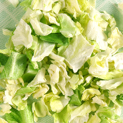 卷心菜凍干：蔬菜冷凍干燥機應用于卷心菜凍干應用案例