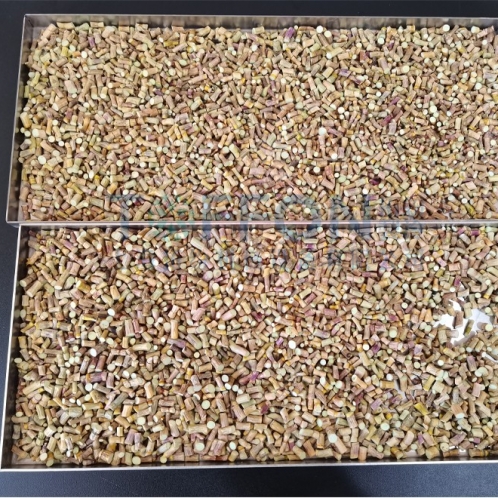 石斛凍干：凍干機應用石斛冷凍干燥工藝流程