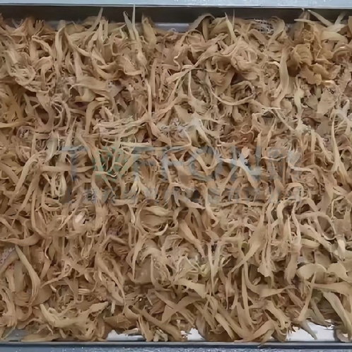 猴頭菇凍干：食品凍干技術應用在猴頭菇冷凍干燥