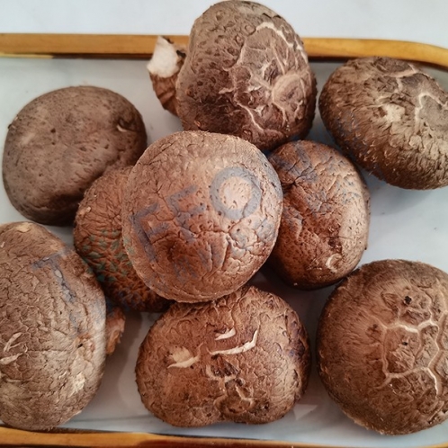 香菇凍干：食用菌凍干技術介紹及應用