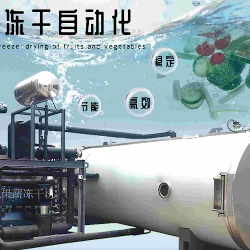 凍干技術如何改善的食品浪費問題？