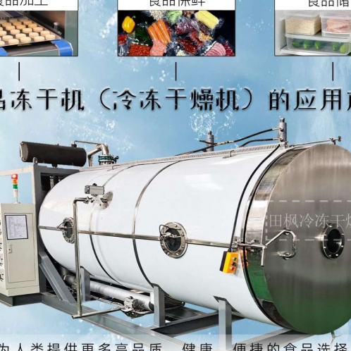 高效能凍干機(jī)如何影響食品營養(yǎng)價(jià)值？